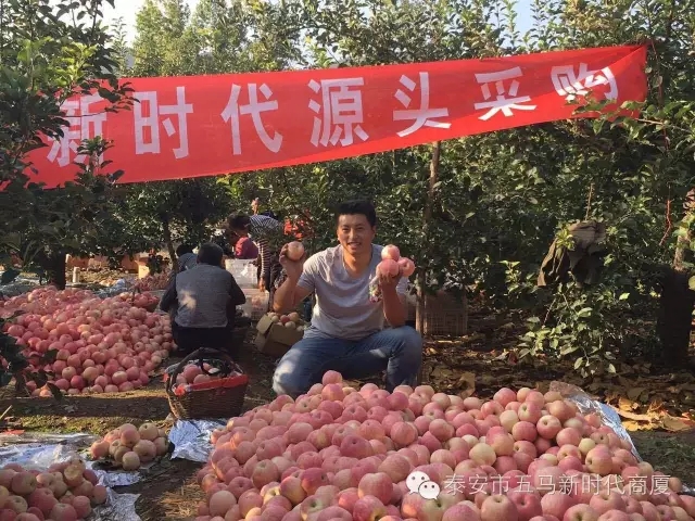 【五马店产地直采】美味可口的沂源富士等您选！