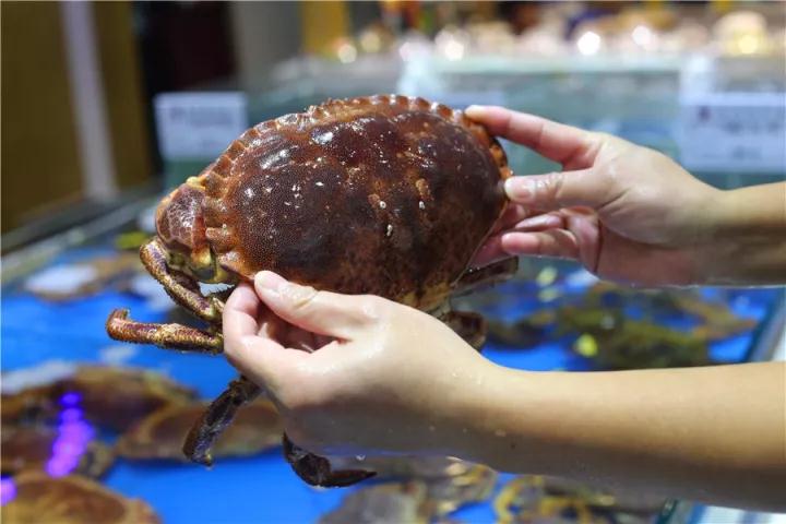 【时代儒商】胶东码头海鲜城淮扬菜、鲁菜、海鲜超多美味！满足您的味蕾~~