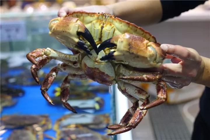 【时代儒商】胶东码头海鲜城淮扬菜、鲁菜、海鲜超多美味！满足您的味蕾~~